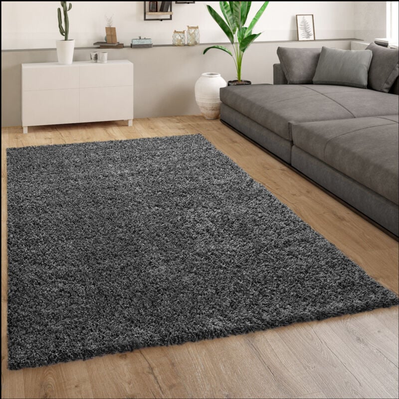 foto del prodotto tappeto shaggy a pelo alto grigio antracite per il soggiorno resistente, morbido e robusto 160x220 cm paco home