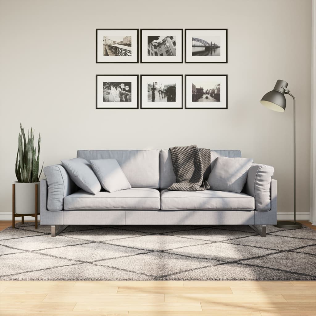 foto del prodotto tappeto shaggy a pelo lungo moderno beige e antracite 160x230cmcod mxl 87948