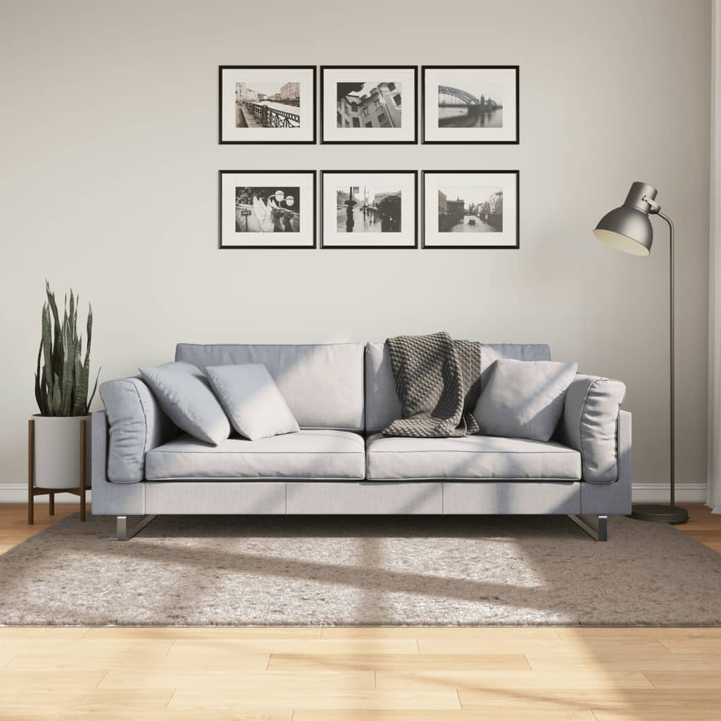 foto del prodotto tappeto shaggy pamplona a pelo lungo moderno beige 140x200 cm