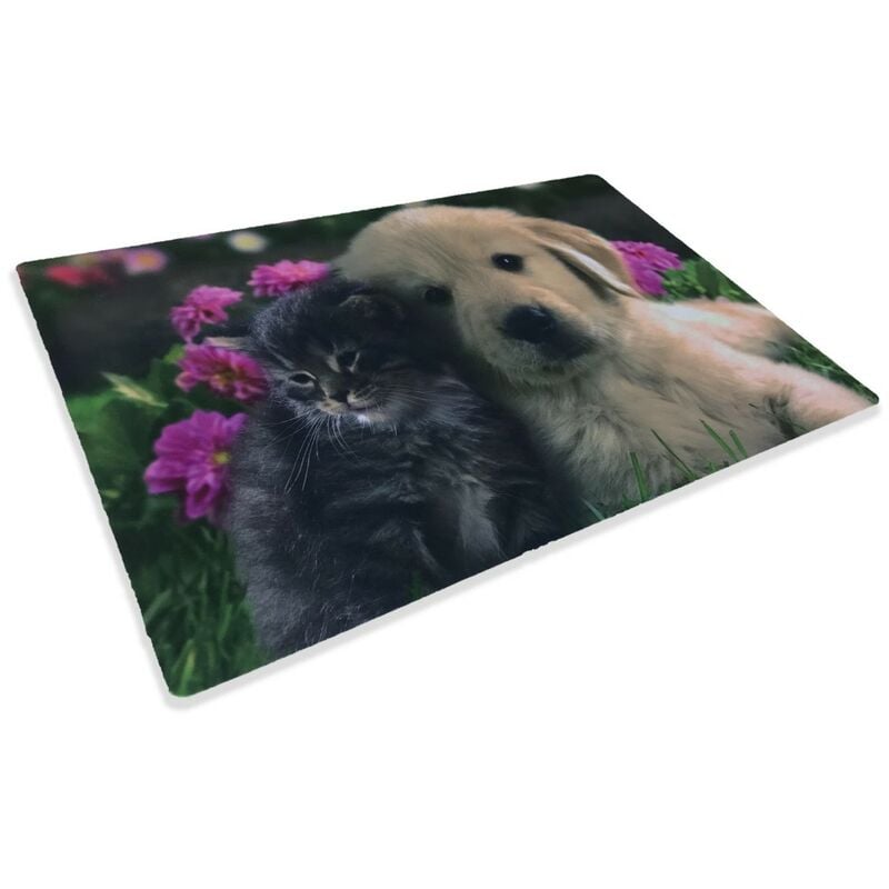 foto del prodotto tappeto zerbino digital friends cm.40x60 cane gatto fiore