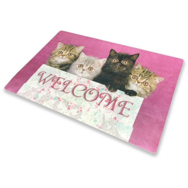 foto del prodotto tappeto zerbino digital welcome cm.40x60 gatti gattini rosa