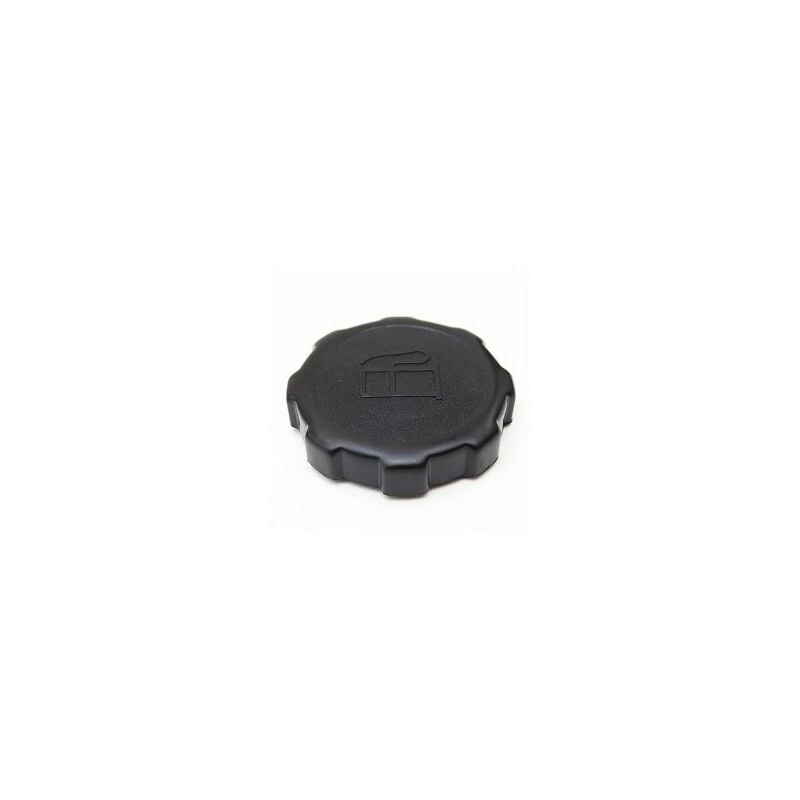 foto del prodotto tappo carburante 550 750 vanguard 5,5 6,5 8 10hp briggs stratton 202043 794641
