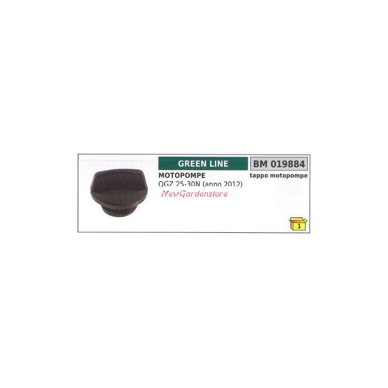 foto del prodotto tappo carburante green line motopompa qgz 25 30n 019884