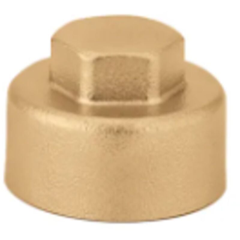 foto del prodotto tappo per collettori 3 4 f caleffi 599350 3 4 f