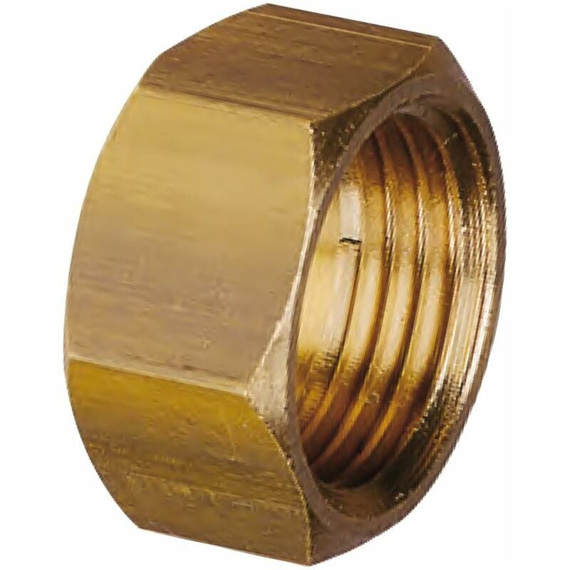 foto del prodotto tappo per getti in ottone con filettatura femmina g1 2