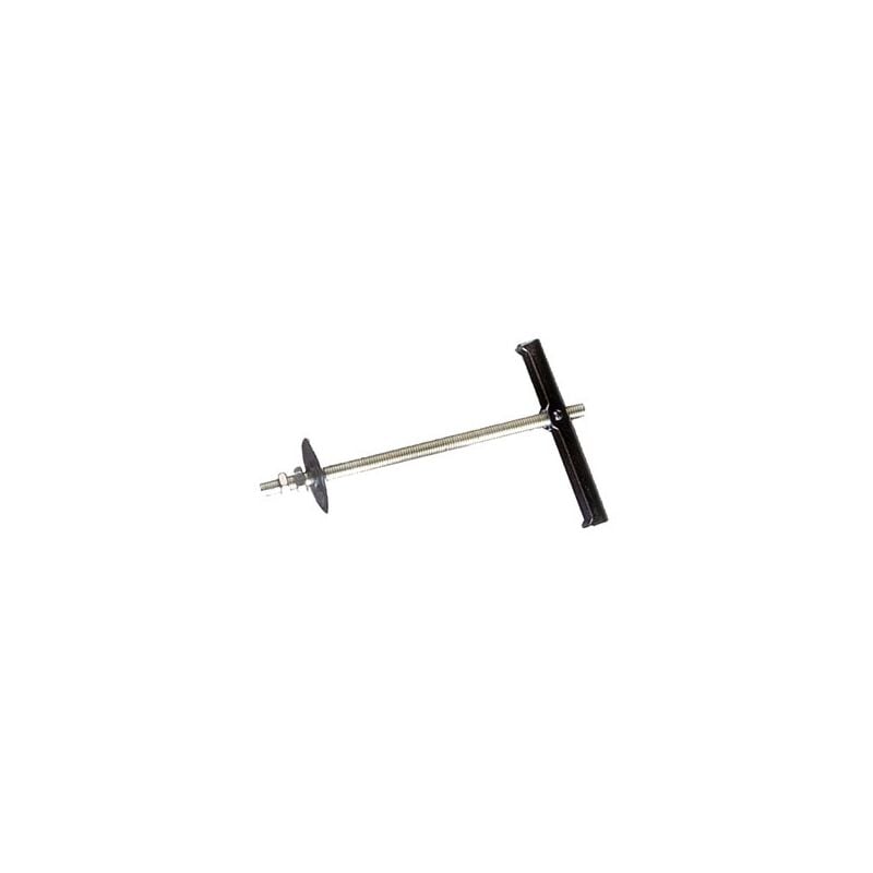 foto del prodotto tappo per tetto inclinabile spike m 6 avl
