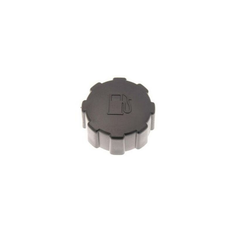 foto del prodotto tappo serbatoio benzina motore ggp 118550001 0