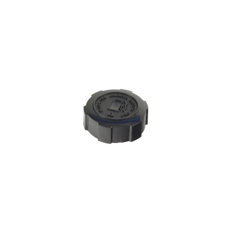 foto del prodotto tappo serbatoio motore briggs stratton 093j02, 09p602, 09p702, 100602 004131