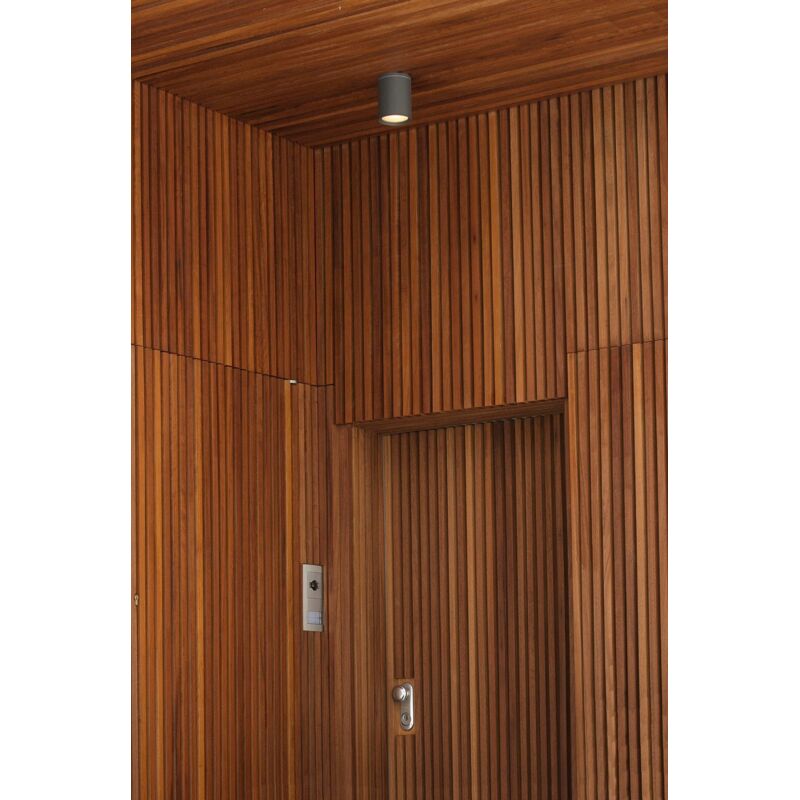foto del prodotto tasa lampada plafoniera grigio scuro 1 x par30 75w marca faro