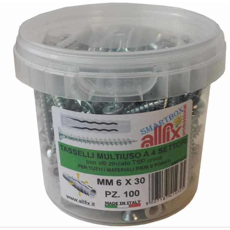 foto del prodotto tasselli in nylon 6x30 mm con viti allfix 100 pz