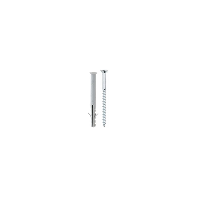 foto del prodotto tassello nylon 2 alette con vite dm 8x60 conf. 100 pz.