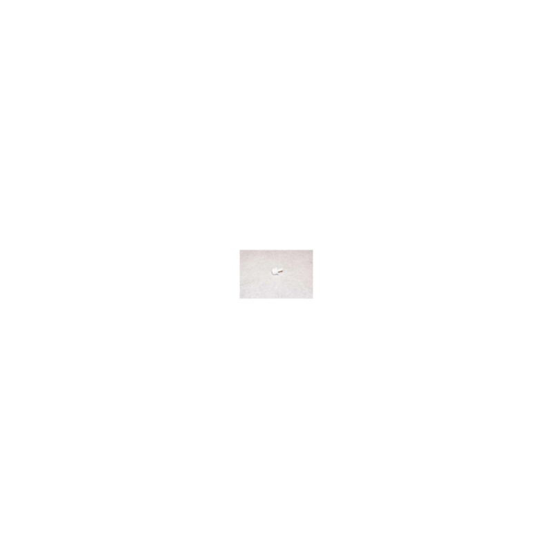 foto del prodotto tasto per lavastoviglie bianco electrolux 111806101