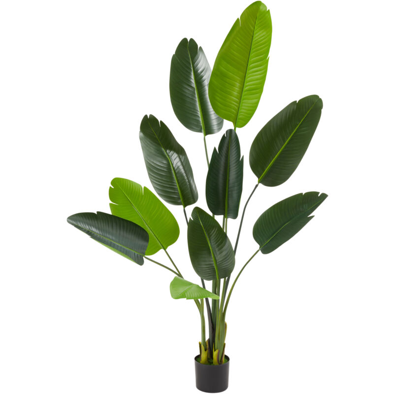 foto del prodotto tectake pianta artificiale strelitzia tropic, realistica albero del paradiso in plastica, albero in plastica, albero artificiale 160 cm