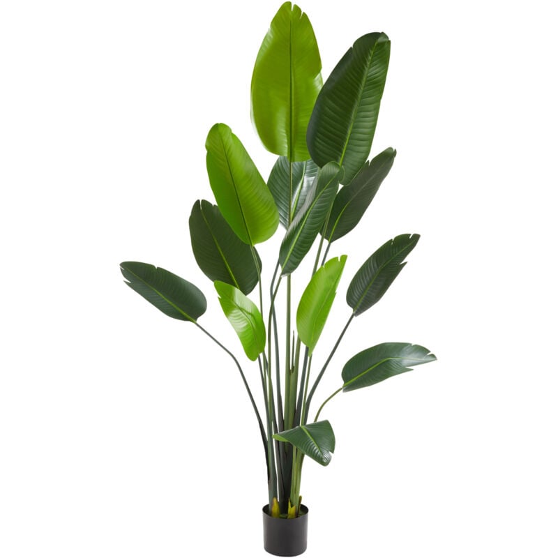 foto del prodotto tectake pianta artificiale strelitzia tropic, realistica albero del paradiso in plastica, albero in plastica, albero artificiale 180 cm