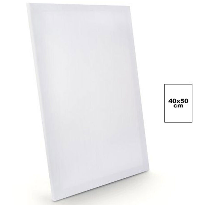 foto del prodotto tela per dipingere canvas rettangolare 40x50 cm artico disegno arte pittura - - trade shop traesio