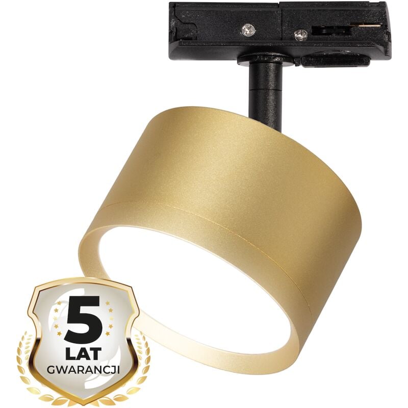 foto del prodotto telaio cyklop pista oro 1xgx53