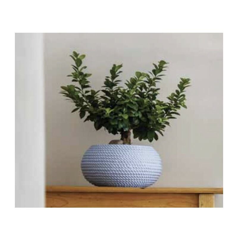 foto del prodotto telcom ciotola bali ciocord vaso portavaso effetto corda 51xh25 in resina vari colori colore polvere