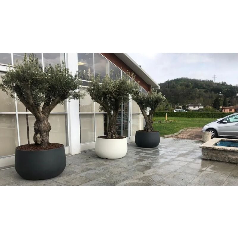 foto del prodotto telcom - vaso urbano acaya 110 in resina per piante di grosse dimensioni bianco