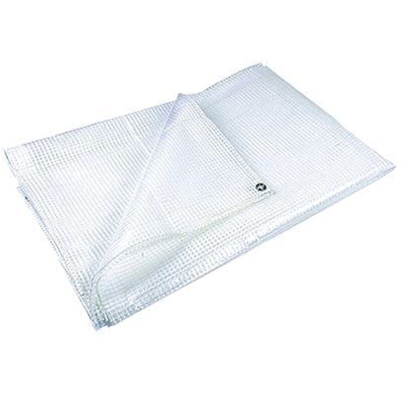 foto del prodotto telo antipioggia con occhielli trasparenti 100gr mq 3x4 elepaking