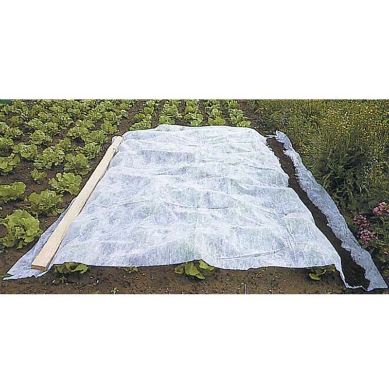 foto del prodotto telo invernale bianco 60g m2 werka pro 1 x 25m