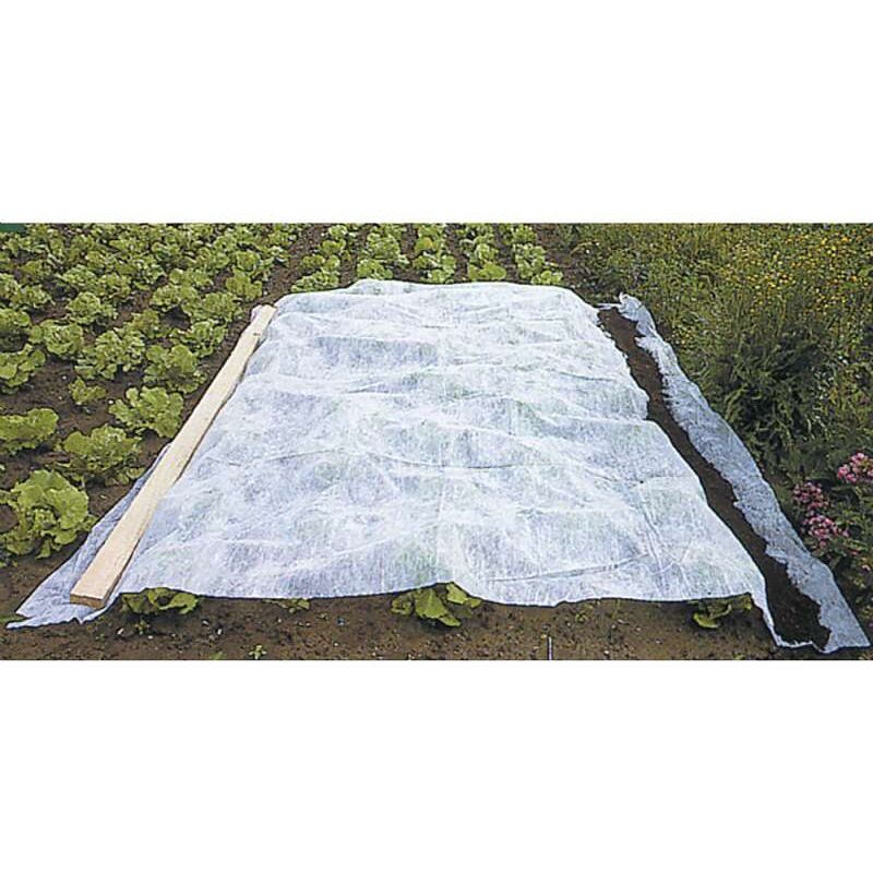 foto del prodotto telo invernale bianco 60g m2 werka pro 2 x 10m