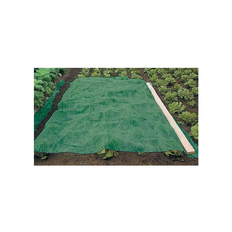 foto del prodotto telo invernale verde 90g m21 x 25m