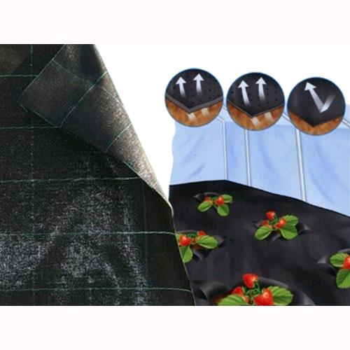 foto del prodotto telo per pacciamatura nero rafia in rotolo da 100 mt x h.2,10 mt.