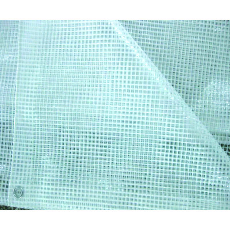 foto del prodotto telo tenda pe retinato trasparente con occhioli cm.350x200