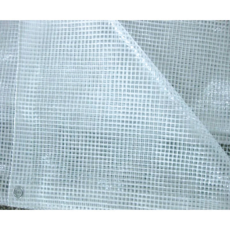foto del prodotto telo tenda pe retinato trasparente con occhioli cm.800x600