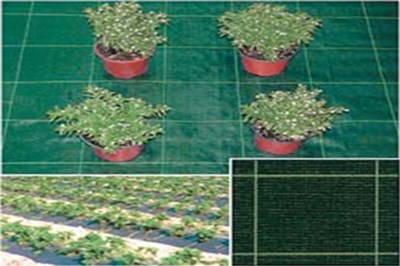 foto del prodotto telo tessuto pacciamatura verde 2,10x10090gr mq