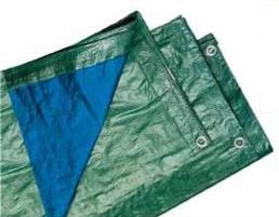 foto del prodotto telone occhiell. gr.100 normale mt. 4x7blu verde