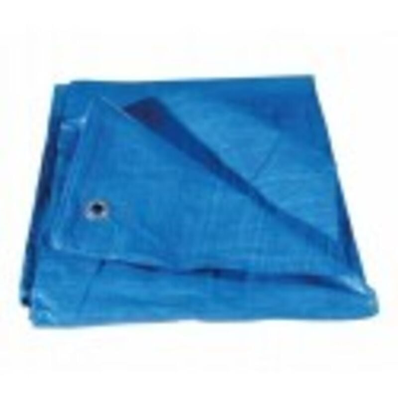 foto del prodotto telone pe standard c occh. blu mt.2x3 pz 6