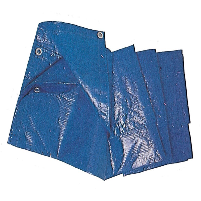 foto del prodotto telone pe standard c occh. blu mt.5x6 pz 2