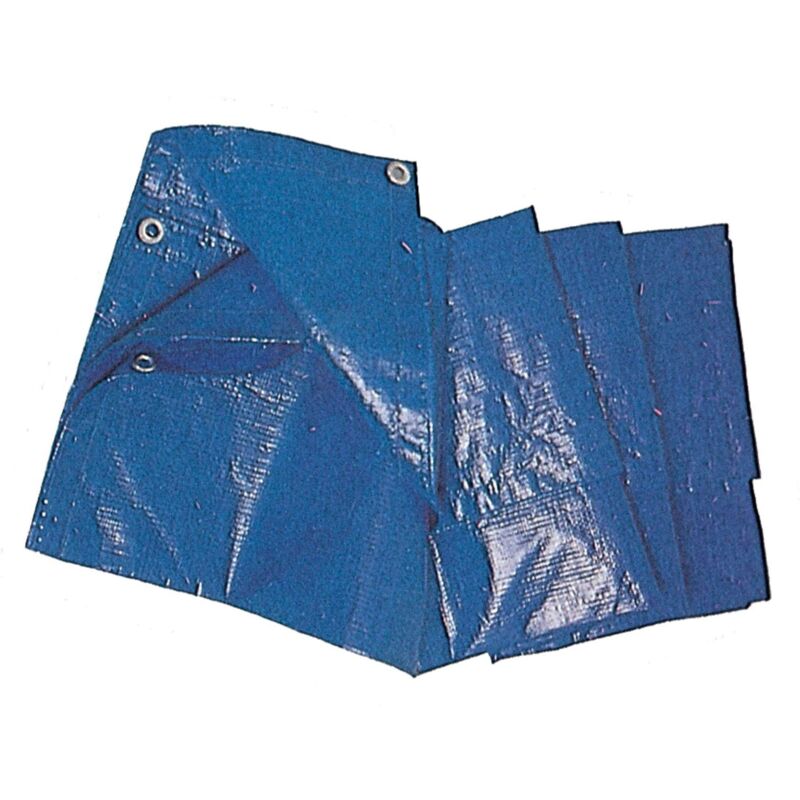 foto del prodotto telone pe standard con occhioli g.mq 85 blu 8x10 m