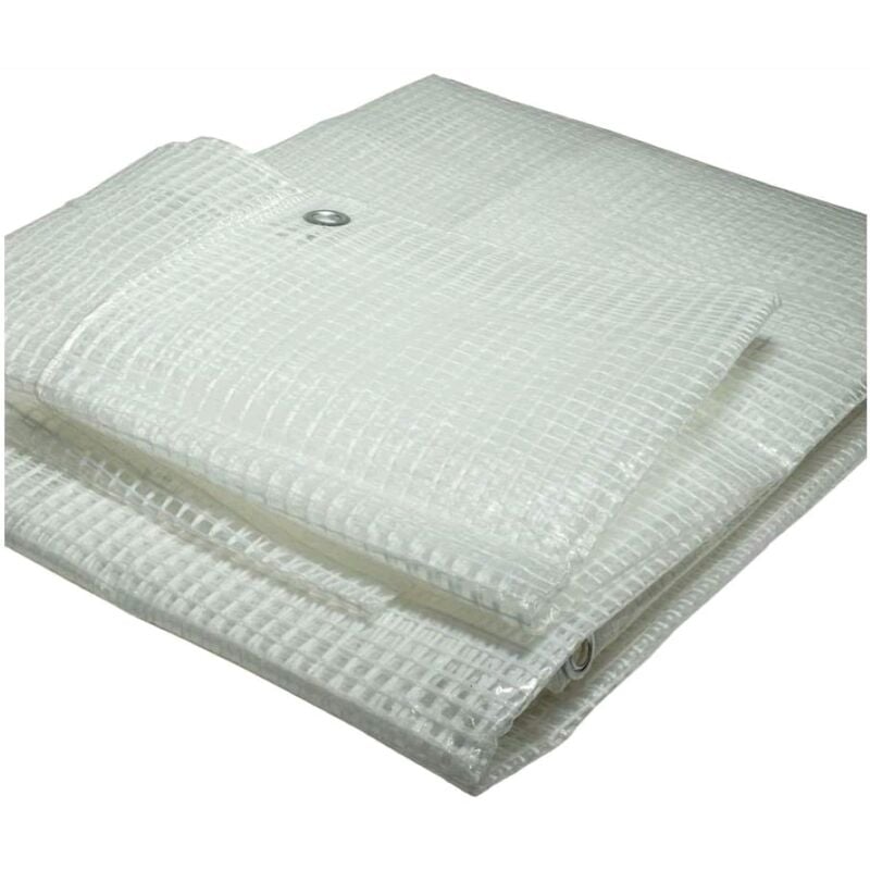 foto del prodotto telone telo occhiellato retinato 5x6 mt in pvc trasparente multiuso