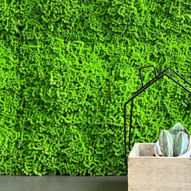 foto del prodotto tenax divy 3d muscus 1x1 m verde, siepe artificiale tipo muschio, pannello componibile per giardino verticale