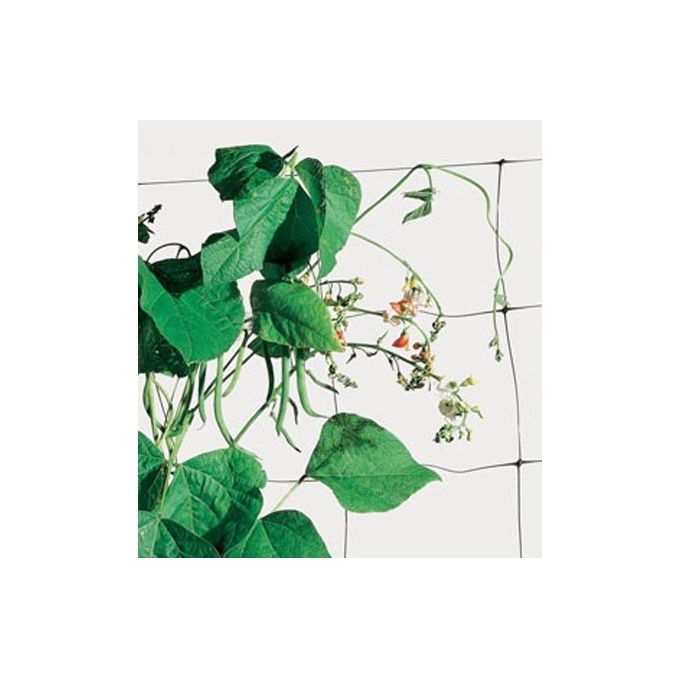 foto del prodotto tenax rete plastica flora mt 2,00x 20