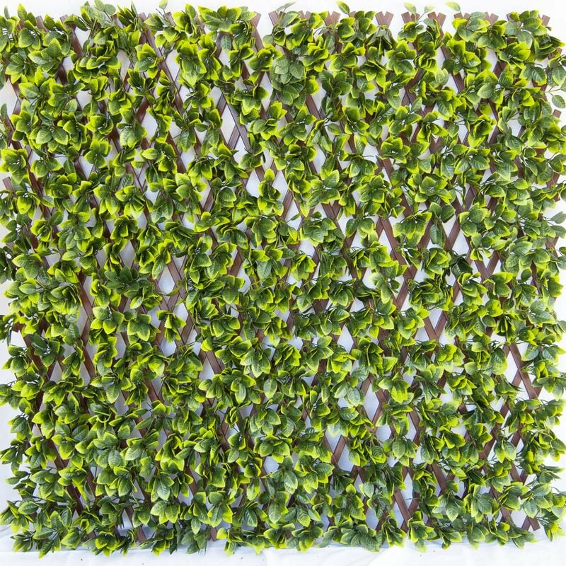 foto del prodotto tenax siepe artificiale con foglie 3d su traliccio estensibile in pvc, divy 3d trellis, 1x2 m