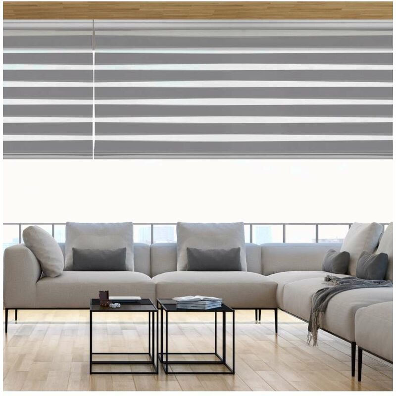 foto del prodotto tenda a rullo doppia platinum argento, 60x250 cm