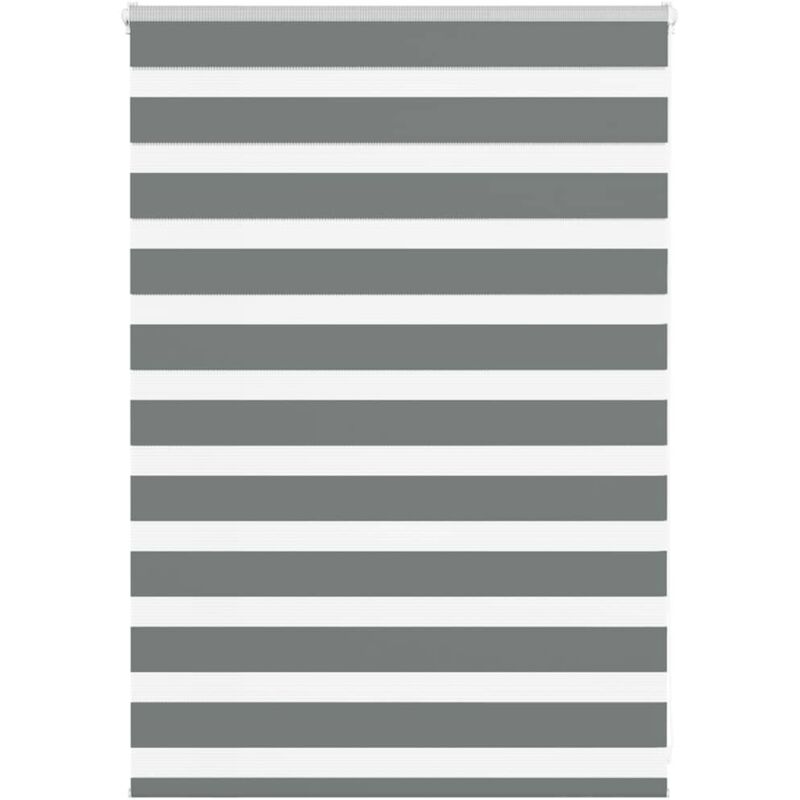 foto del prodotto tenda a rullo zebra larghezza tessuto 105,9 cm poliestere vidaxl