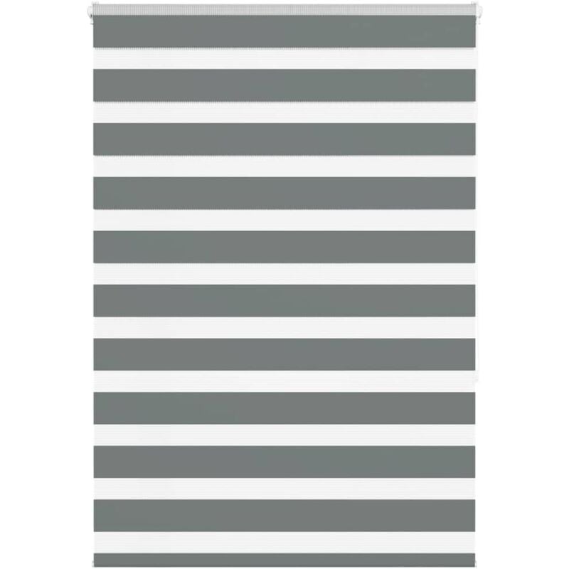 foto del prodotto tenda a rullo zebra larghezza tessuto 105,9 cm poliestere vidaxl