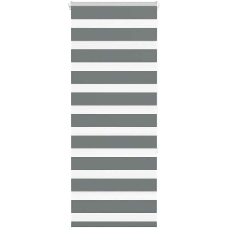 foto del prodotto tenda a rullo zebra larghezza tessuto 50,9 cm poliestere vidaxl
