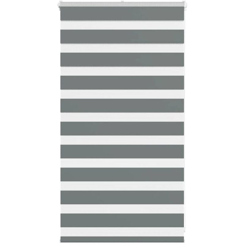 foto del prodotto tenda a rullo zebra larghezza tessuto 65,9 cm poliestere - vidaxl