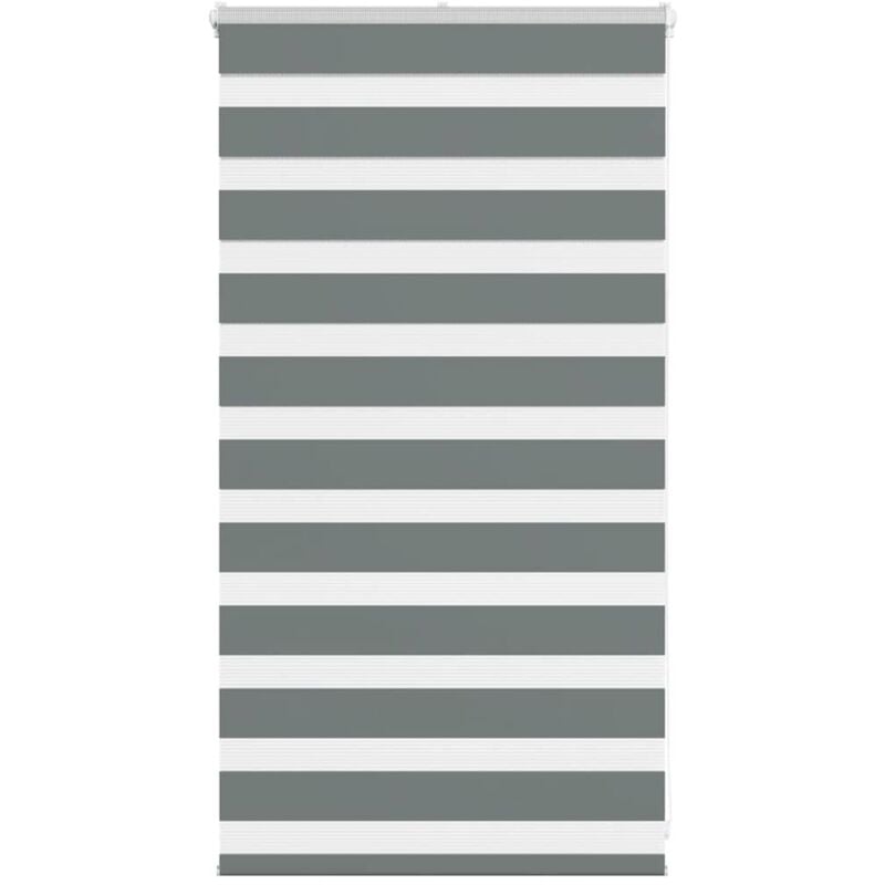 foto del prodotto tenda a rullo zebra larghezza tessuto 70,9 cm poliestere - vidaxl