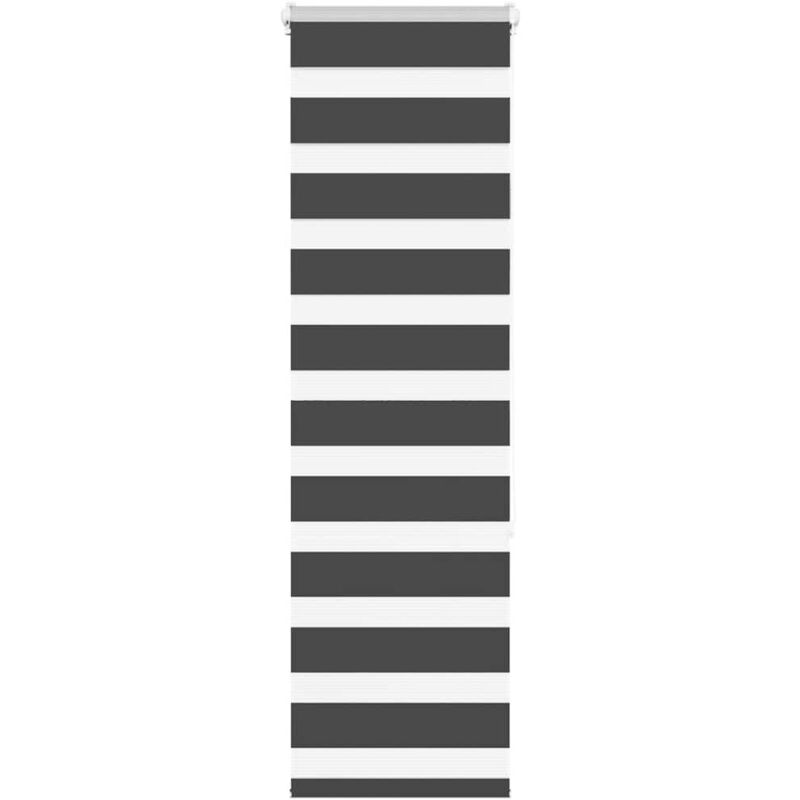 immagine 0 del prodotto tenda a rullo zebra nero larghezza tessuto 40,9 cm poliestere vidaxl