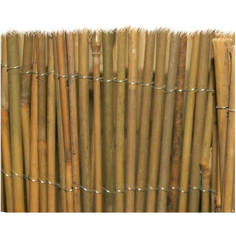 foto del prodotto tenda arella mister in canna di bamboo pulita dimensione 150x300cm