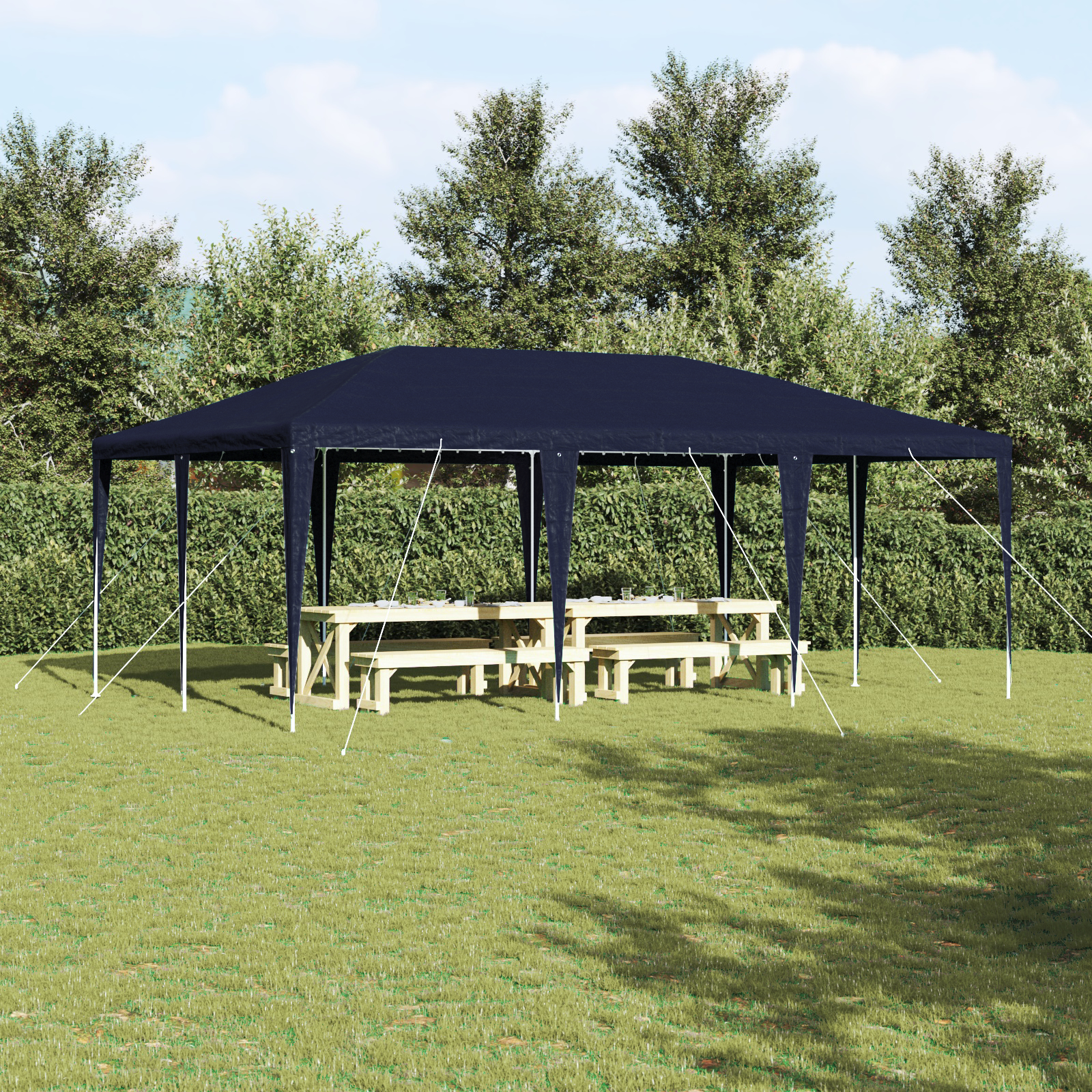 foto del prodotto tenda da festa blu 6x4 m pe