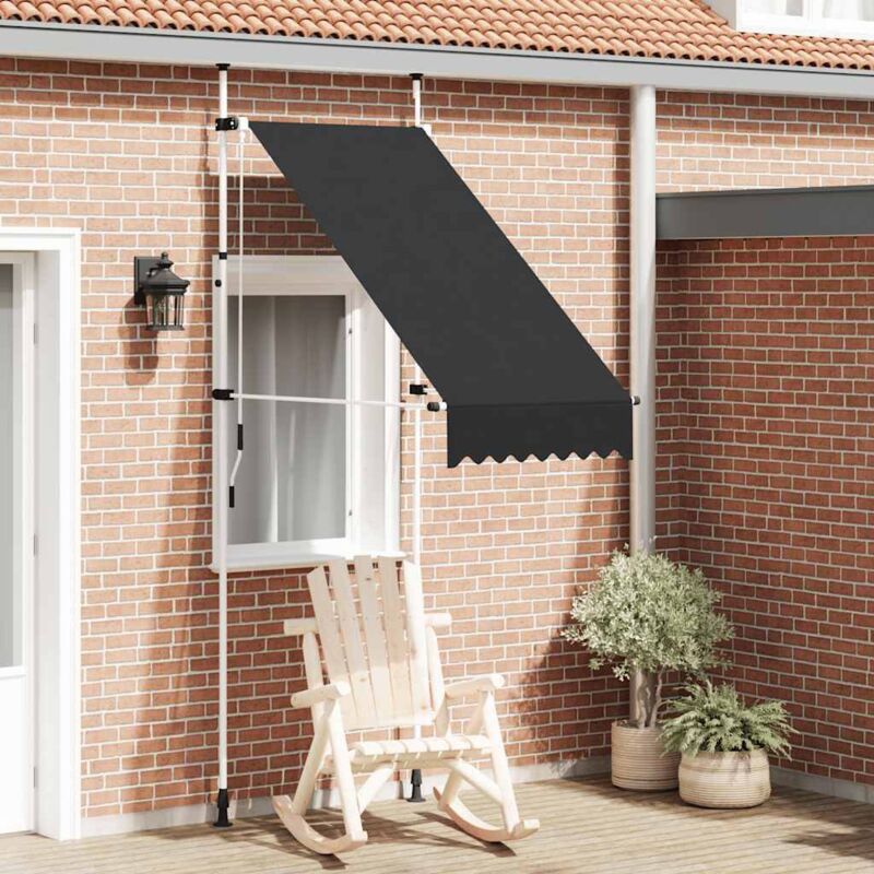 foto del prodotto tenda da sole retrattile manuale 100 cm antracite vidaxl