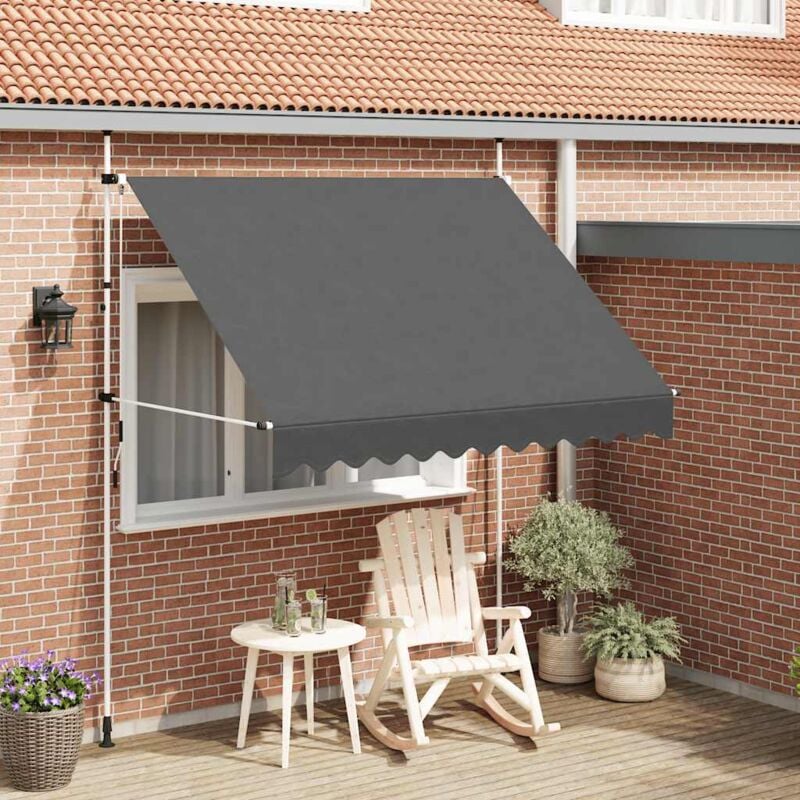 foto del prodotto tenda da sole retrattile manuale 250 cm antracite vidaxl