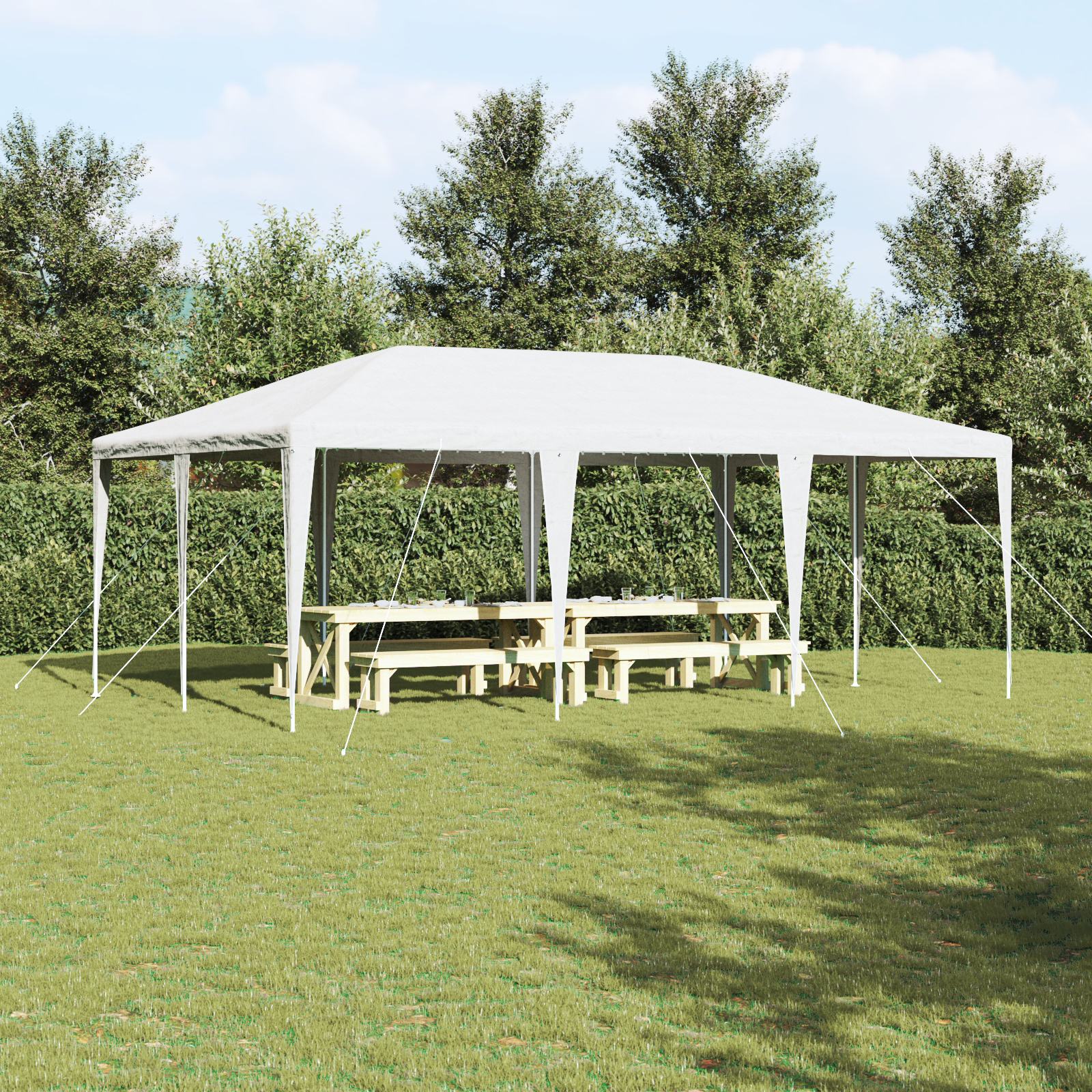 foto del prodotto tenda festiva bianca 6x4 m pe